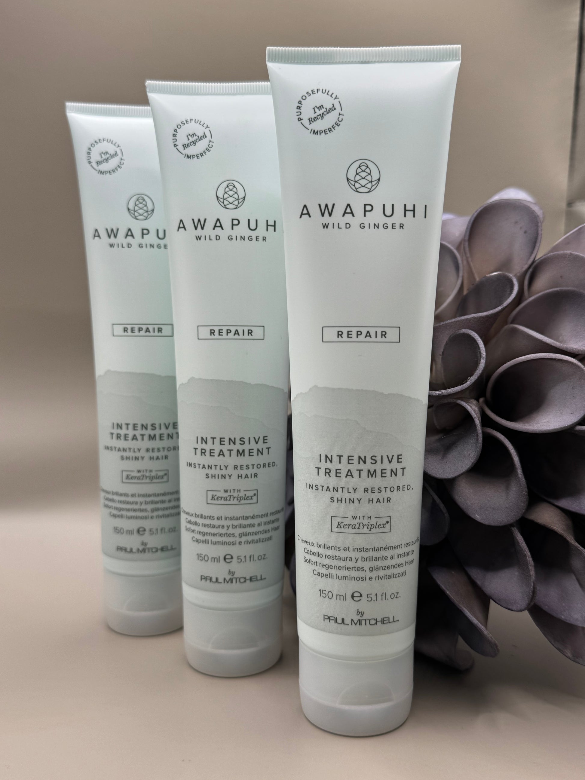 Awapuhi Wild Ginger Hydrate Hydrasoft Shampoo, drei pastellgrüne Tuben freigestellt nebeneinander auf neutralem Hintergrund – Paul Mitchell